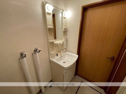 ピアヒルズⅡ[1LDK/38.16m2]の洗面所