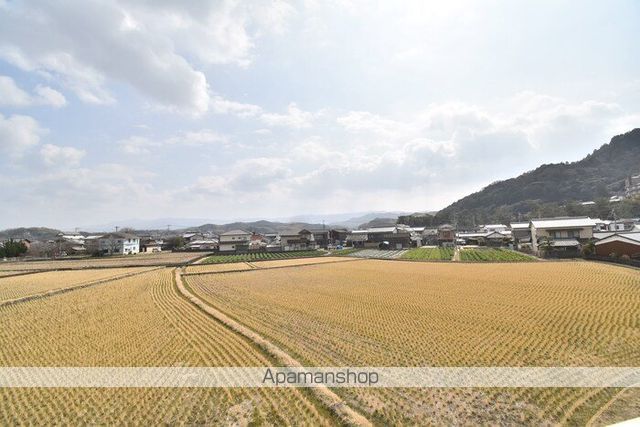 GREEN ROSEのその他写真
