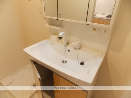 ゴールデンハイム水野[1R/30.2m2]の洗面所