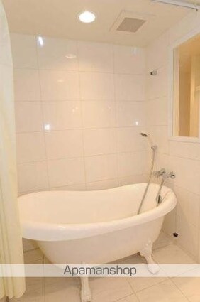 カスタリア銀座[1R/27.8m2]のバス