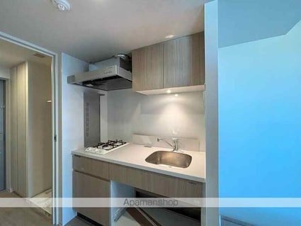 ルミーク本町イースト[1DK/25.44m2]のキッチン