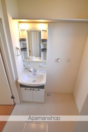 シャーメゾン　ルミエール　Ⅱ棟[2LDK/50.78m2]の洗面所