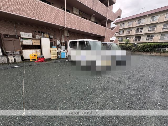 オリーブのその他写真