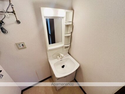 ビューアネックスⅡ[2LDK/54.8m2]の洗面所