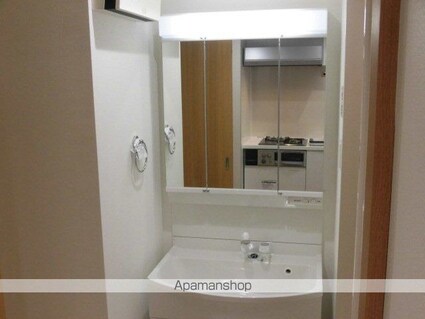 東京都国立市東１丁目[1K/29m2]の洗面所