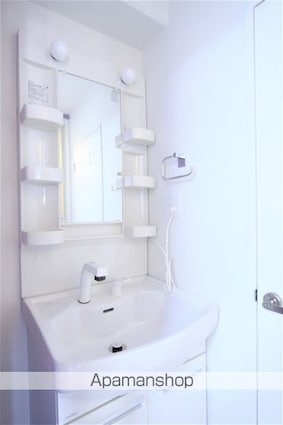 フレニール４５[2DK/38.88m2]の洗面所