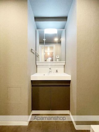ＳーＲＥＳＩＤＥＮＣＥ板橋大山ｂｒｉｍ[2LDK/50.65m2]の洗面所