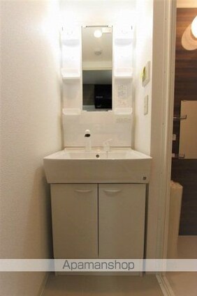 広島県広島市南区西旭町[1K/24.79m2]の洗面所