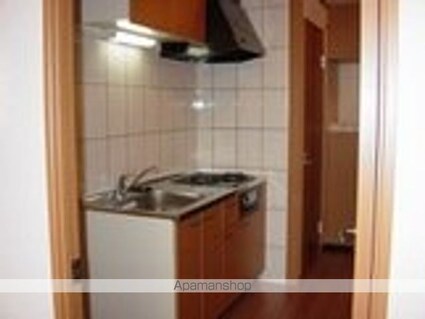 ネオ・コスモ[1K/30.96m2]のその他部屋・スペース