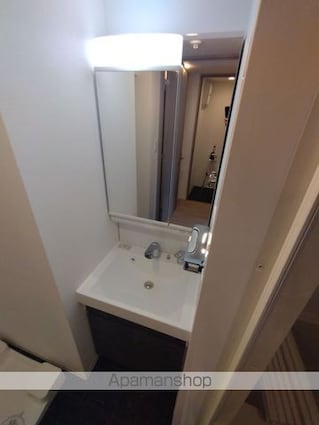 Ｓ－ＲＥＳＩＤＥＮＣＥ新宿早稲田ａｖｅｌｉｓ[1DK/30.11m2]の洗面所