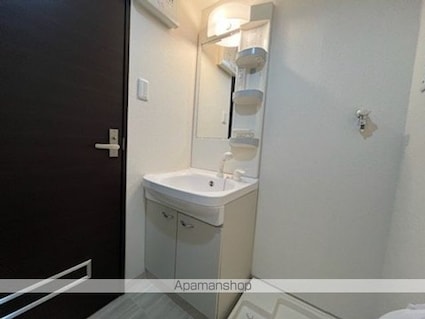 珠光ビル南草津[1K/28.27m2]の洗面所