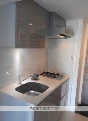 アルテシモレジウス[1K/28.55m2]のキッチン