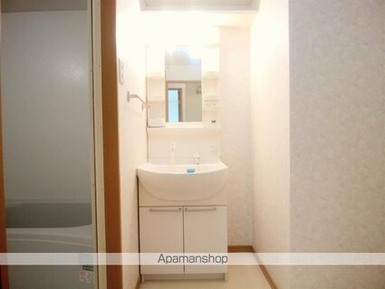 サングリーン藤沢[2DK/50.54m2]の洗面所