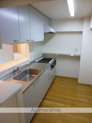 東京都杉並区高円寺南４丁目[2LDK/68.58m2]のキッチン