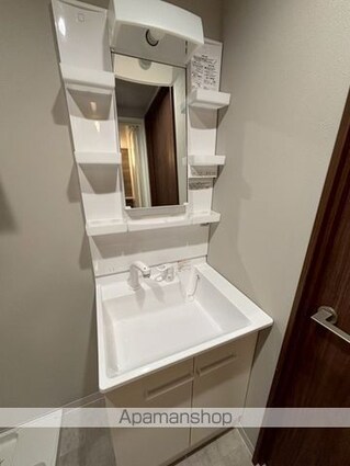 ＰＥＴＡＬＳ新宿（ペタルズシンジュク）[1K/27.78m2]の洗面所