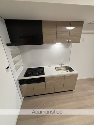 アイルイマージュ押上イースト[1LDK/40.98m2]のキッチン