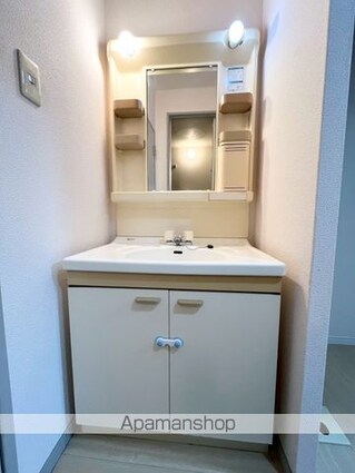 グリーンフル六十谷Ⅰ[2DK/40.92m2]の洗面所