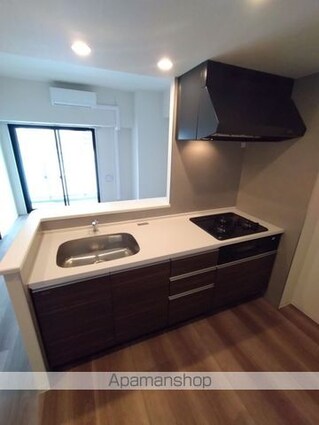 Ａｌｉｖｉｓ本郷三丁目[1LDK/42.04m2]のキッチン