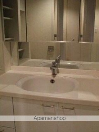 カスタリア新宿御苑[1R/33.57m2]の洗面所