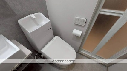 ｔｈｅ　ｔｒｉａｓ　ｋａｓｈｉｗａ[1R/20.5m2]のトイレ