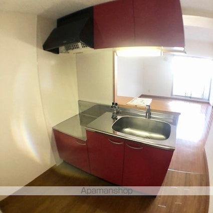 新風館[1R/29.99m2]のキッチン