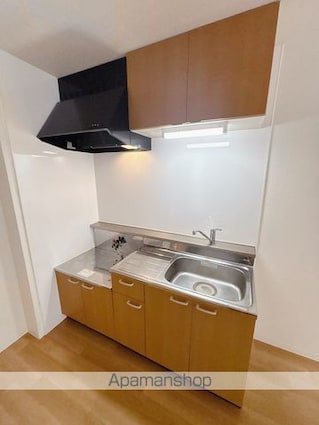 第３フェニックス[2LDK/53.46m2]のキッチン