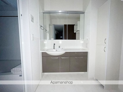 Ｇｒａｎｄーｒｏｏｍ衣山[2LDK/58.76m2]の洗面所