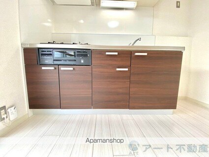 プロヴァンス安城寺Ⅱ[2DK/45.36m2]の内装3