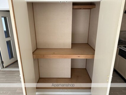 フレグランスモア綱島Ｍ棟[2LDK/66.75m2]の収納