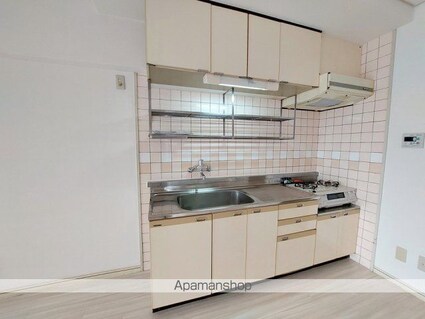 大進第三ハイツ[3LDK/63.47m2]のキッチン