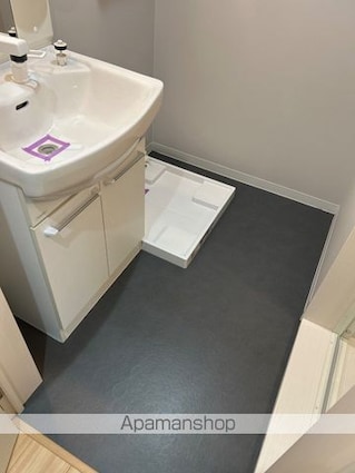 Ｇｎｏｓｉｓ　花見川[1K/21.86m2]の洗面所