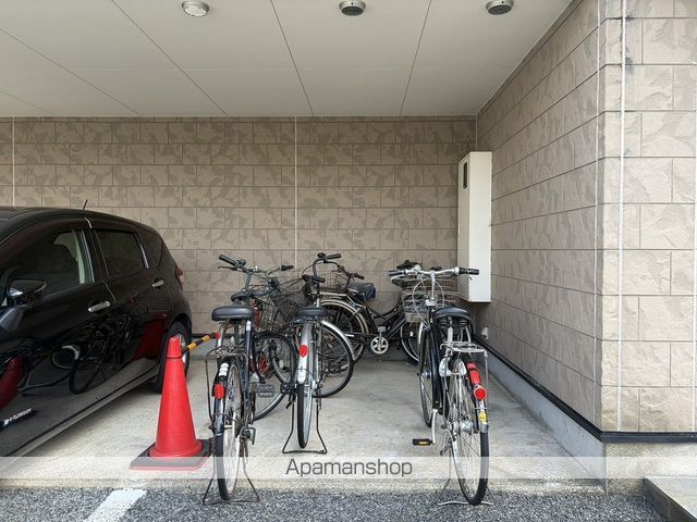 コスモス雲山のその他写真