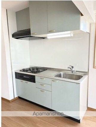 武蔵野ヒルズ[1R/46.44m2]のキッチン