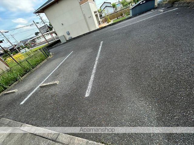 サンフラワーのその他写真