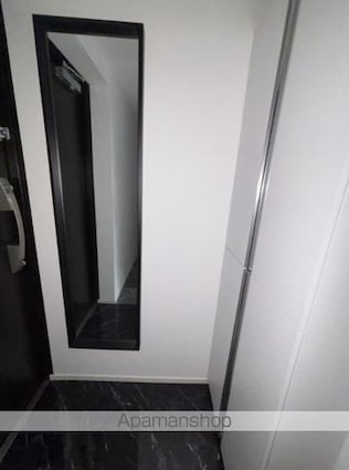 レピュア豊島園レジデンス[1R/21.63m2]の玄関