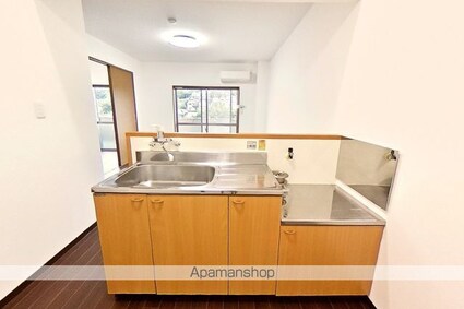 グランパレスパゴダ[1LDK/35.47m2]のキッチン