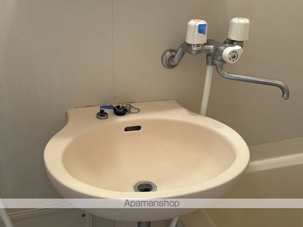 メゾンカトレア[2DK/39.33m2]の洗面所