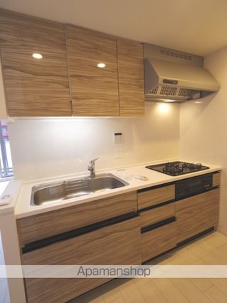 トラープランド翠命館[2LDK/58.32m2]のキッチン