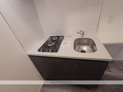 レピュア豊島園レジデンス[1R/24.01m2]のキッチン