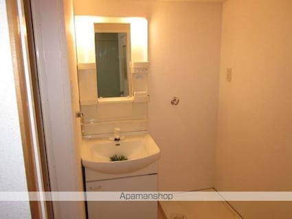 サニーフラット久米[2DK/43.74m2]の洗面所