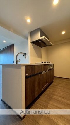 東京都八王子市寺町[1SLDK/52.54m2]のキッチン