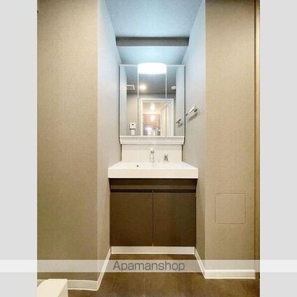 ＳーＲＥＳＩＤＥＮＣＥ板橋大山ｂｒｉｍ[1SLDK/47.5m2]の洗面所