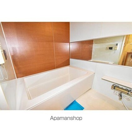 Ｇｒａｍｅｒｃｙ　Ｓｈｉｒｏｍｉ－ｄｏｒｉ[1LDK/48.4m2]のバス