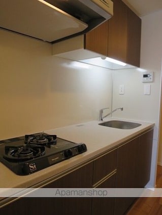 エミリブ石神井公園[1K/29.44m2]のキッチン