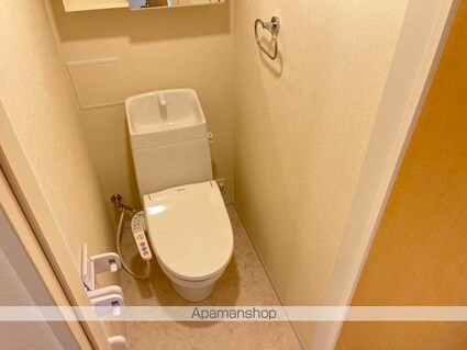 サンテ　メゾン　ヤナガワ[1LDK/44.12m2]のトイレ