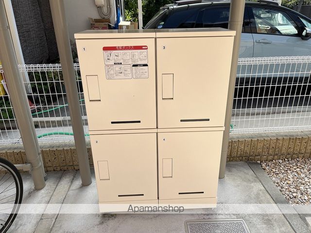 メインクーンの周辺写真
