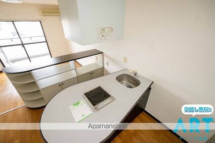 メゾン・ド・アーベリール[1R/30.4m2]のキッチン