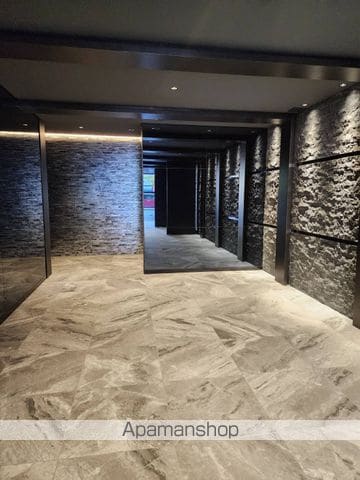 SーRESIDENCE大手門AWESOMEの玄関写真