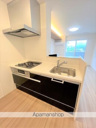 ラニーラグーンＥＸＥ[1LDK/42.93m2]のキッチン