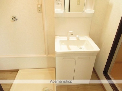 フレグランス芳雅[3DK/51.2m2]の洗面所